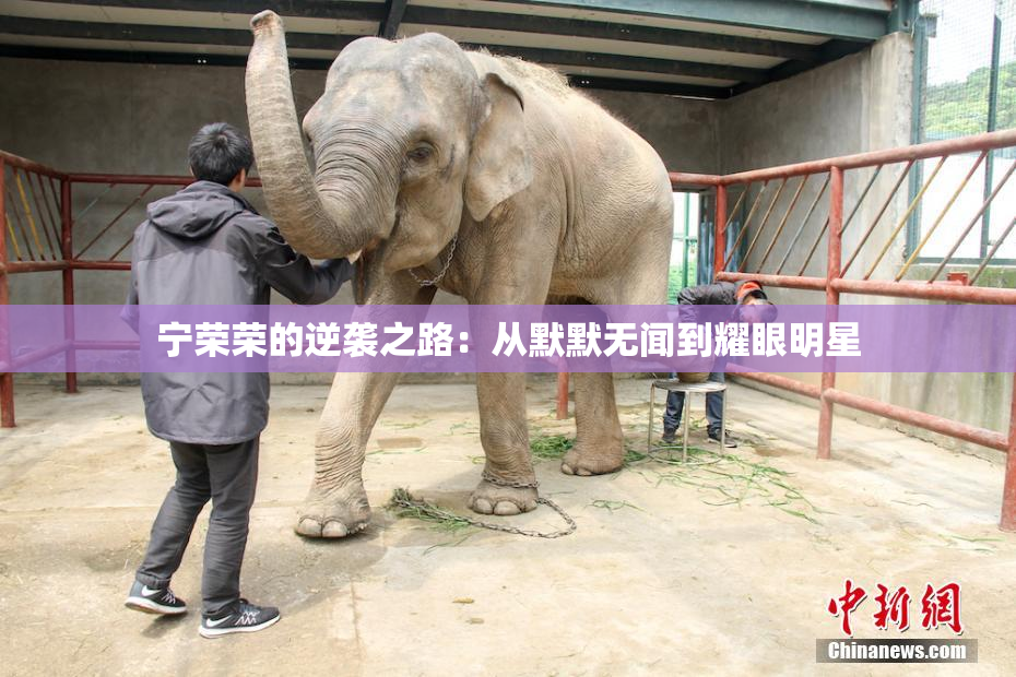 宁荣荣的逆袭之路：从默默无闻到耀眼明星