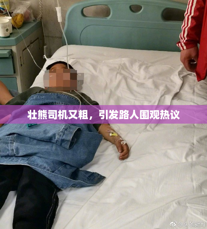 壮熊司机又粗，引发路人围观热议