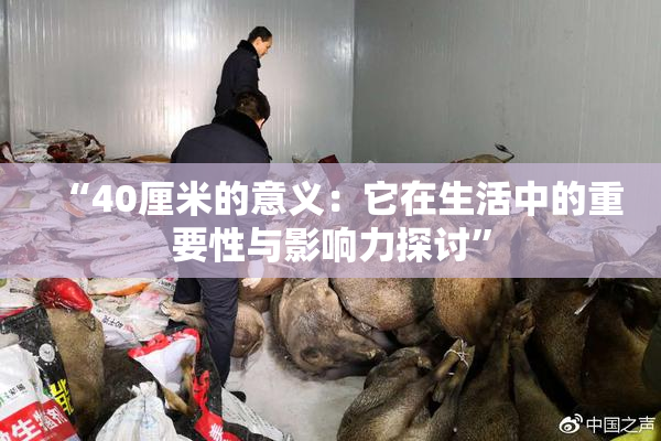 “40厘米的意义：它在生活中的重要性与影响力探讨”