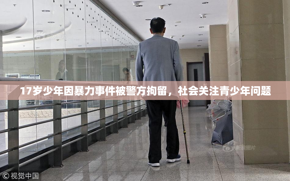 17岁少年因暴力事件被警方拘留，社会关注青少年问题