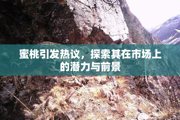 蜜桃引发热议，探索其在市场上的潜力与前景