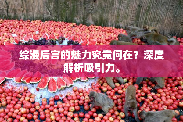 综漫后宫的魅力究竟何在？深度解析吸引力。