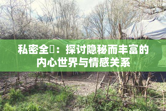 私密全婐：探讨隐秘而丰富的内心世界与情感关系
