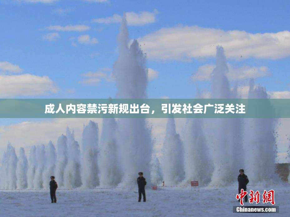 成人内容禁污新规出台，引发社会广泛关注