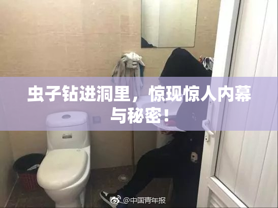 虫子钻进洞里，惊现惊人内幕与秘密！