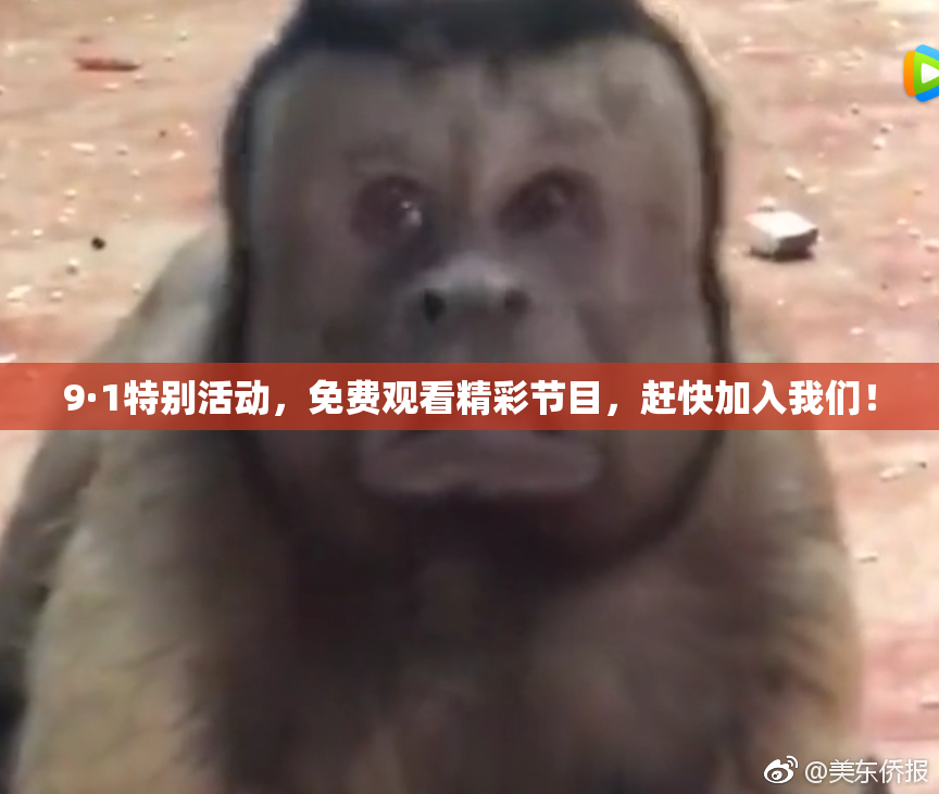 9·1特别活动，免费观看精彩节目，赶快加入我们！