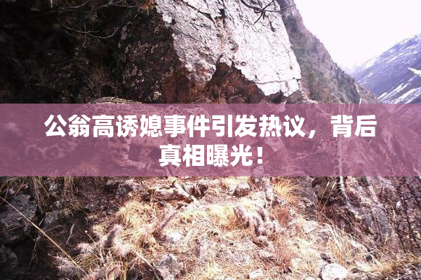 公翁高诱媳事件引发热议，背后真相曝光！