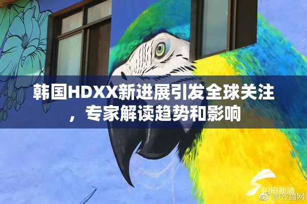 韩国HDXX新进展引发全球关注，专家解读趋势和影响