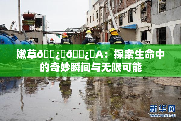 嫩草🌿‌🌿‌A：探索生命中的奇妙瞬间与无限可能