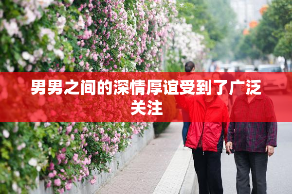 男男之间的深情厚谊受到了广泛关注