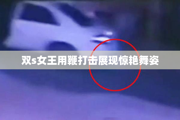 双s女王用鞭打击展现惊艳舞姿