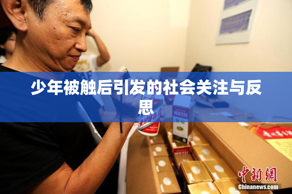 少年被触后引发的社会关注与反思