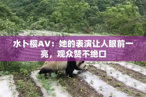 水卜樱AV：她的表演让人眼前一亮，观众赞不绝口