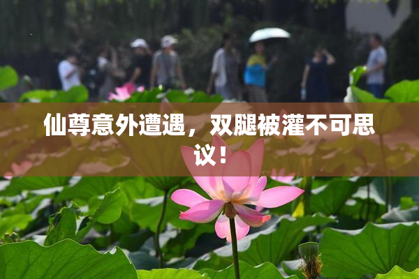 仙尊意外遭遇，双腿被灌不可思议！