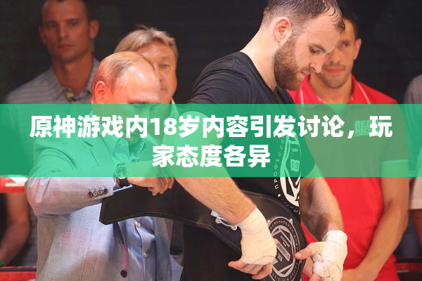 原神游戏内18岁内容引发讨论，玩家态度各异