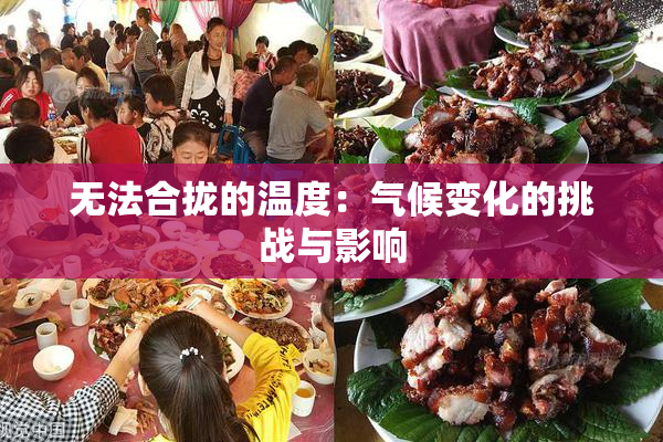 无法合拢的温度：气候变化的挑战与影响