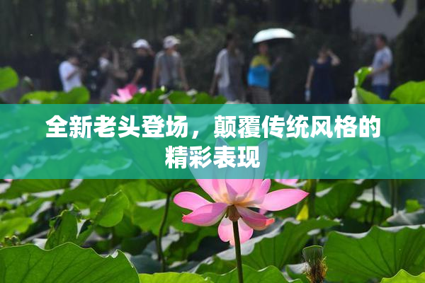 全新老头登场，颠覆传统风格的精彩表现