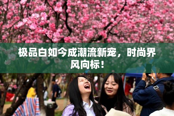极品白如今成潮流新宠，时尚界风向标！