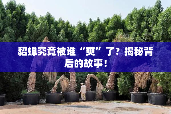 貂蝉究竟被谁“爽”了？揭秘背后的故事！