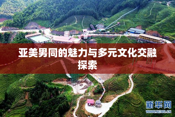 亚美男同的魅力与多元文化交融探索