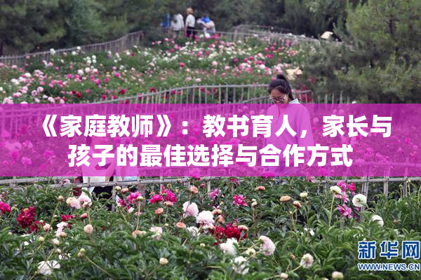 《家庭教师》：教书育人，家长与孩子的最佳选择与合作方式