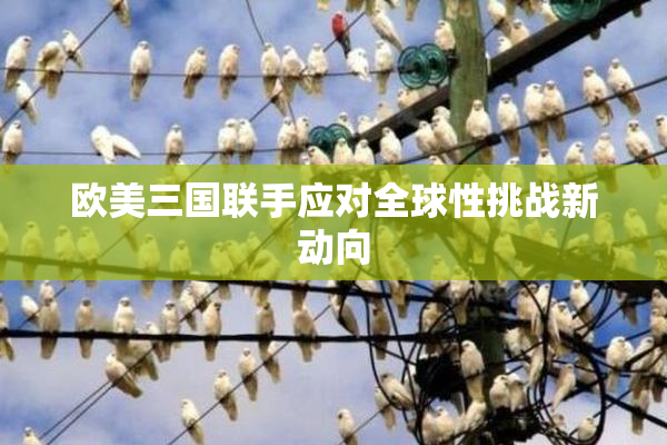 欧美三国联手应对全球性挑战新动向