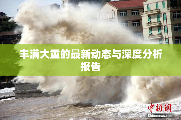 丰满大重的最新动态与深度分析报告