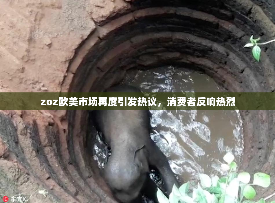 zoz欧美市场再度引发热议，消费者反响热烈