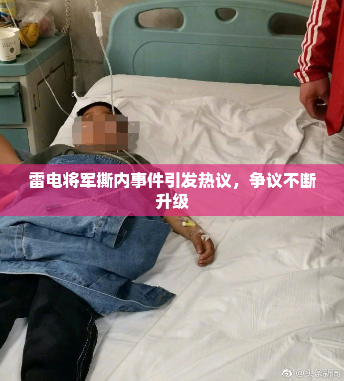 雷电将军撕内事件引发热议，争议不断升级