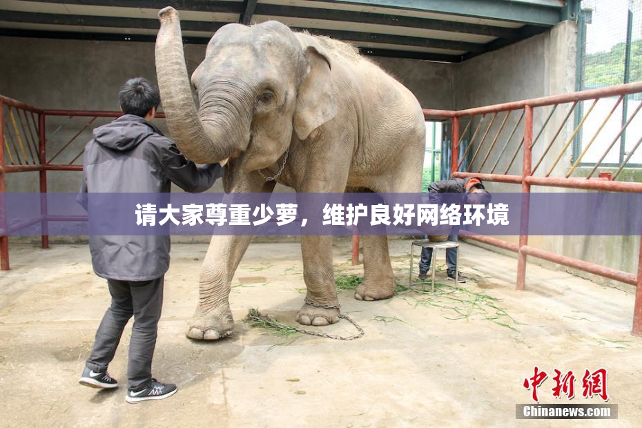 请大家尊重少萝，维护良好网络环境