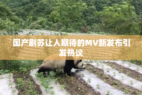 国产剧苏让人期待的MV新发布引发热议