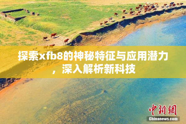 探索xfb8的神秘特征与应用潜力，深入解析新科技