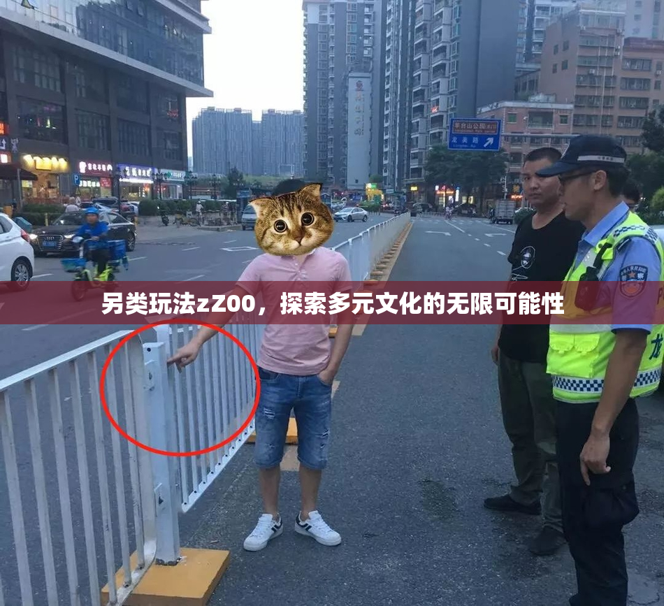 另类玩法zZ00，探索多元文化的无限可能性
