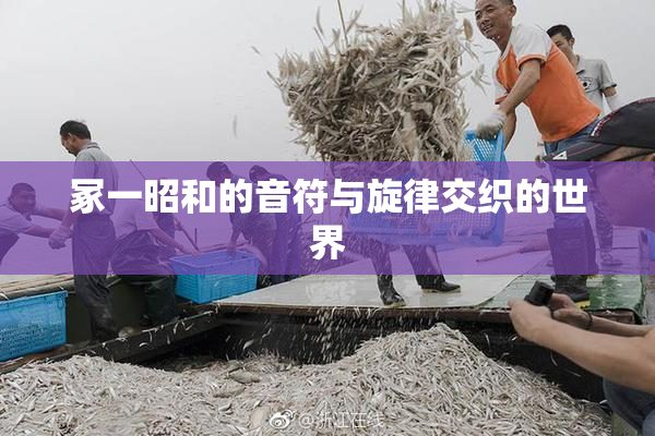 冢一昭和的音符与旋律交织的世界