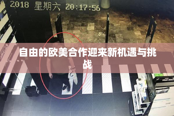 自由的欧美合作迎来新机遇与挑战