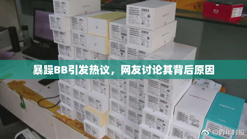 暴躁BB引发热议，网友讨论其背后原因