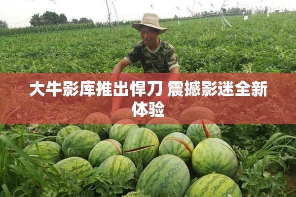 大牛影库推出悍刀 震撼影迷全新体验