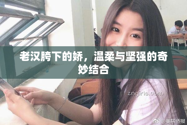 老汉胯下的娇，温柔与坚强的奇妙结合