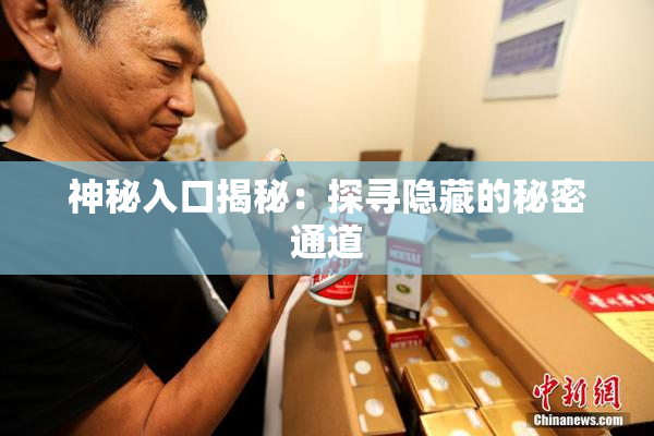 神秘入口揭秘：探寻隐藏的秘密通道