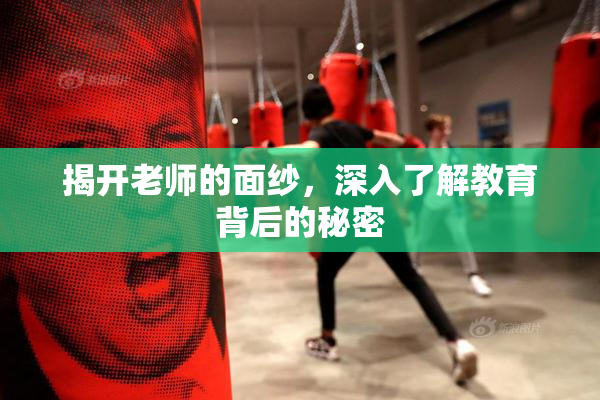 揭开老师的面纱，深入了解教育背后的秘密