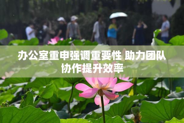 办公室重申强调重要性 助力团队协作提升效率