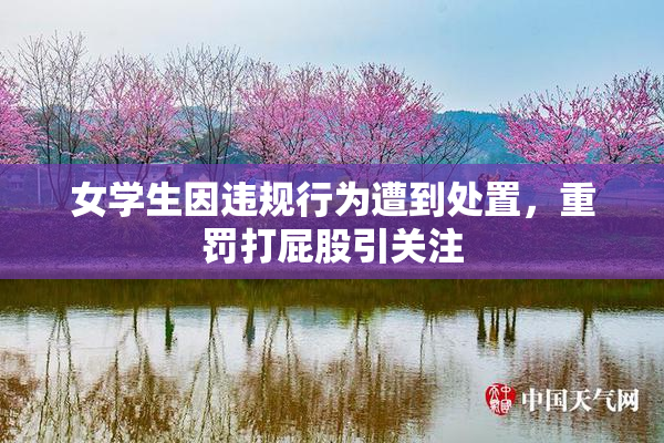 女学生因违规行为遭到处置，重罚打屁股引关注
