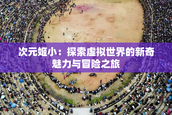 次元姬小：探索虚拟世界的新奇魅力与冒险之旅