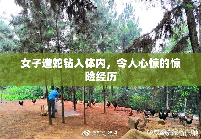 女子遭蛇钻入体内，令人心惊的惊险经历