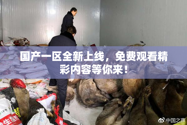 国产一区全新上线，免费观看精彩内容等你来！