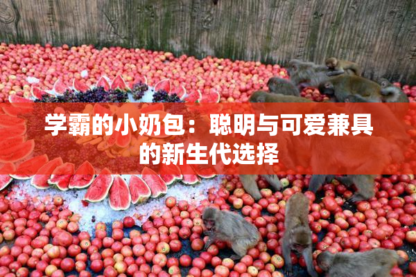 学霸的小奶包：聪明与可爱兼具的新生代选择