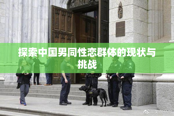探索中国男同性恋群体的现状与挑战