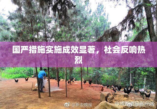 国严措施实施成效显著，社会反响热烈