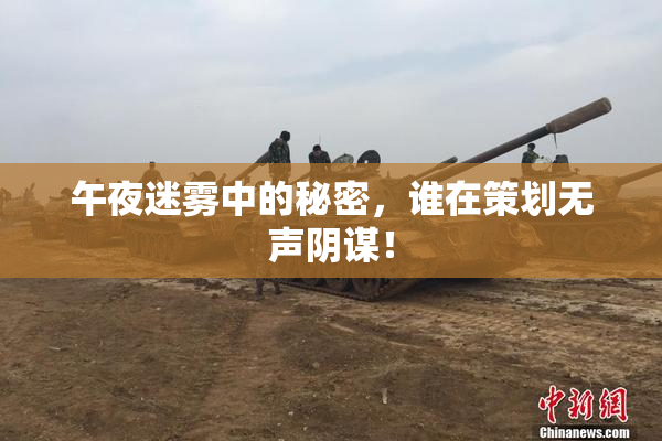 午夜迷雾中的秘密，谁在策划无声阴谋！