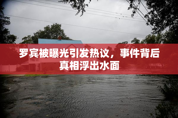 罗宾被曝光引发热议，事件背后真相浮出水面